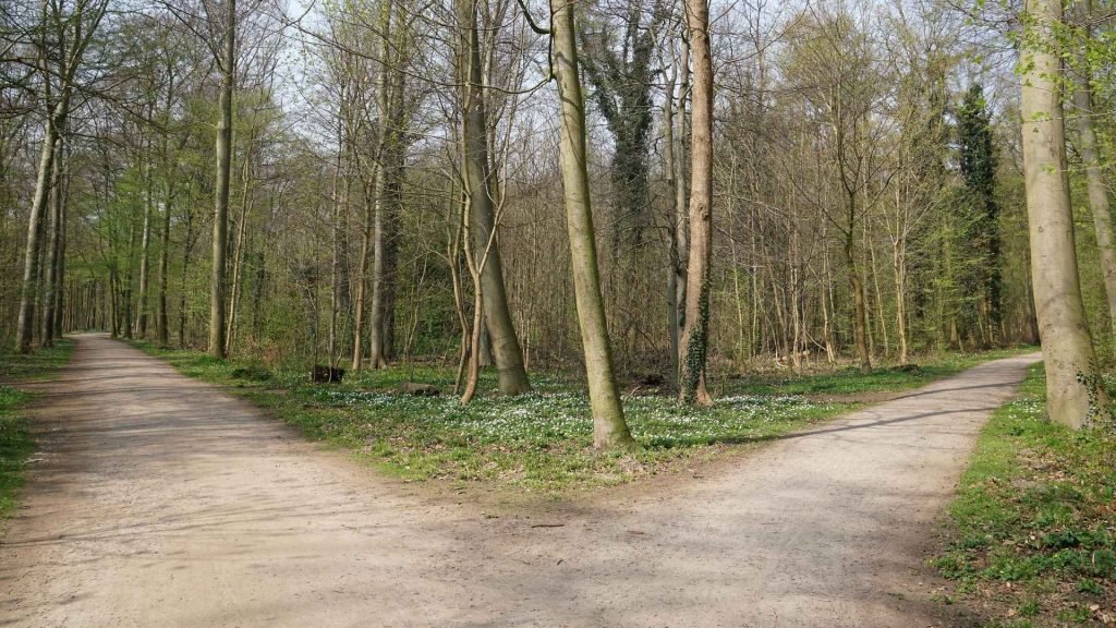 rehab for marijuana has different routes you can take, with residential treatment being a great place to learn good habits