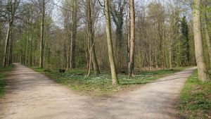 rehab for marijuana has different routes you can take, with residential treatment being a great place to learn good habits