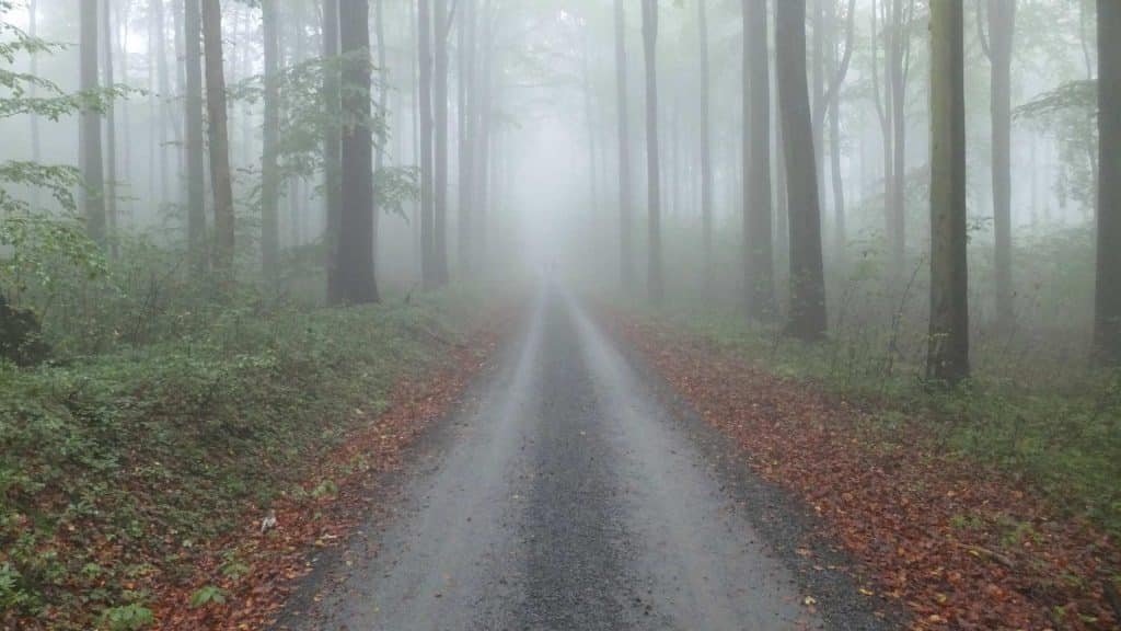 Xanax side effects can include brain fog