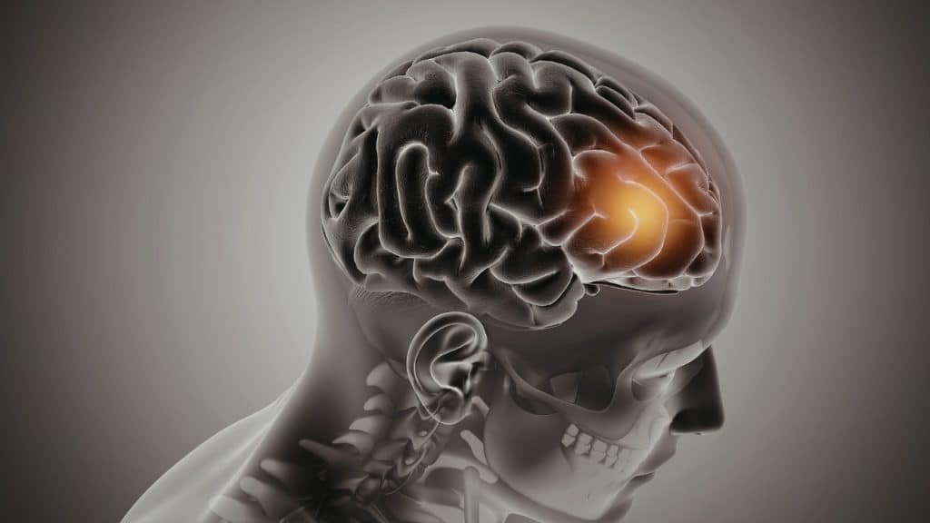 ADHD and alcohol addiction are connected through the brain