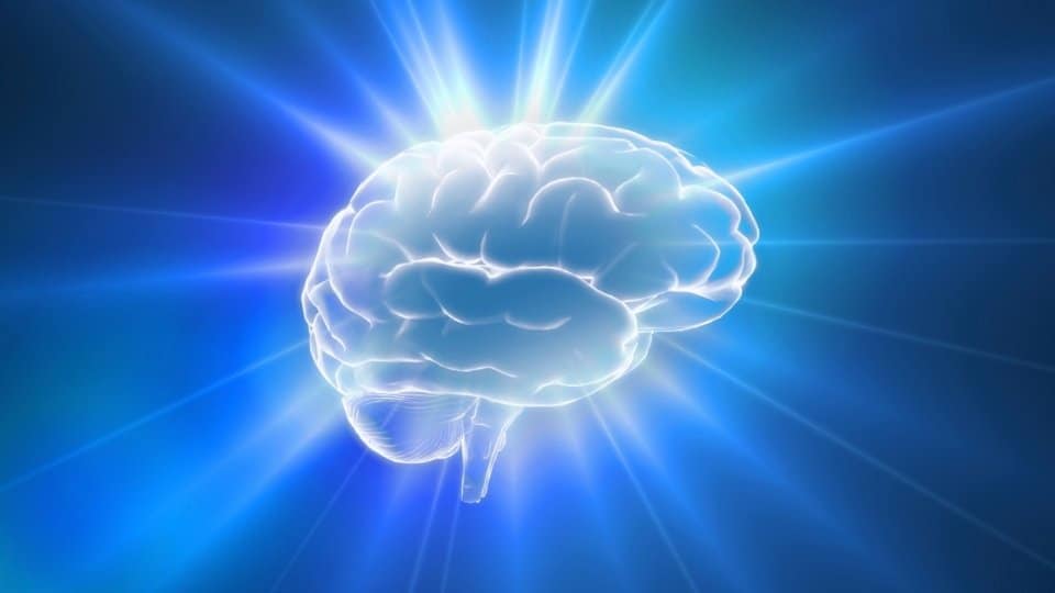 What Does Cocaine Do to Your Body and Brain it causes a surge of dopamine that can alter your reward system.